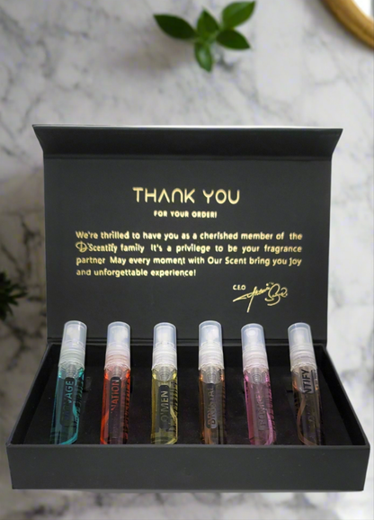 Discovery Box of 6